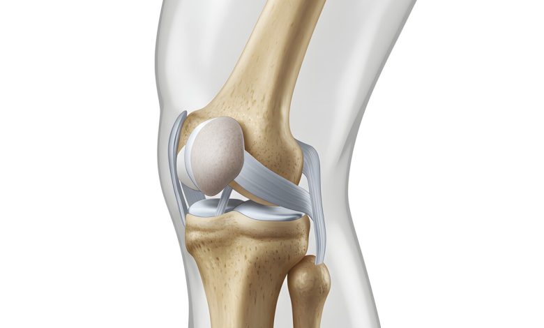 Ligamento colateral medial (LCM)