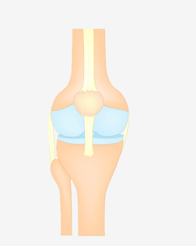 Ligamento colateral lateral (LCL)