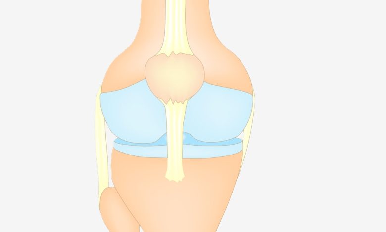 Ligamento colateral lateral (LCL)