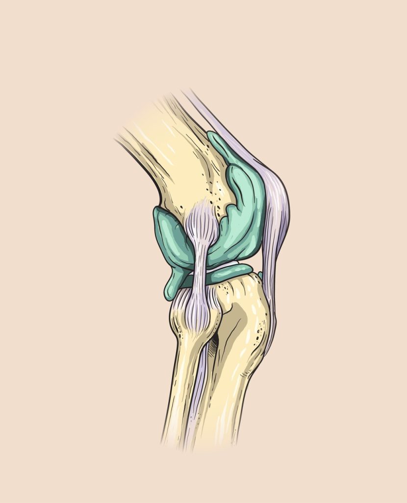 Reconstruções ligamentares